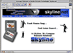 Skyline.Net